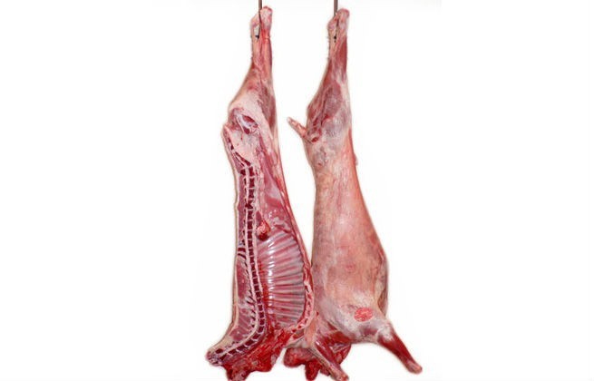 WHOLE LAMB